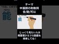 【初心者向け】〜できるって3種類あるの知ってた？中国語の助動詞「会・能・可以」の使い分けを徹底解説！