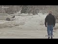 buffalo buried under snow amid deadly us winter blizzard afp