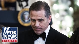 This Hunter Biden revelation is shocking even by Washington standards: Turley