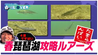 たまらんばい永野的「春の南湖攻略ルアーズ」南湖LOVER vol.1で使用