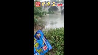 钓鱼王腥香，黑坑野钓皆完美上岸！