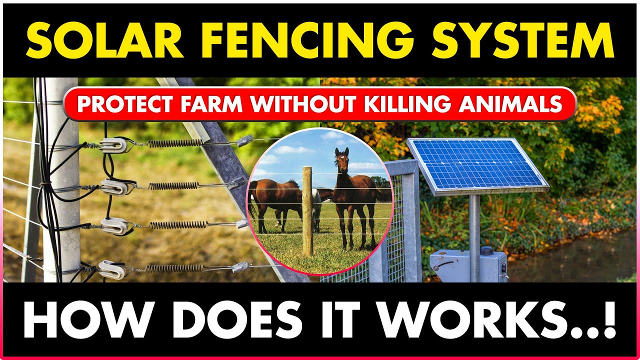 How Solar Fencing Works Solar Fencing System For Agricultural Land