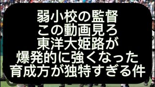 【高校野球】東洋大姫路を爆発的に成長さした岡田監督の指導方法が独特すぎる件#野球 #高校野球 #甲子園