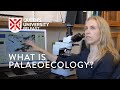 An Introduction to Palaeoecology by Dr Gill Plunkett