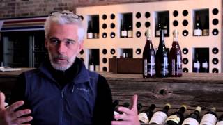 Why make wine in an amphora? Frank Cornelissen answers