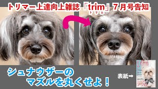 vol.7 trim7月号の告知「シュナウザー」のマズルを丸くする方法　Japanese groomer's magazine