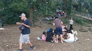 FAMILY BONDING SA WILDLIFE  PICNIC