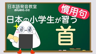 【日本語慣用句】JLPT《首》일본어 공부(tiếng Nhật)