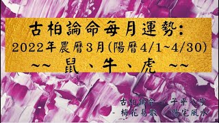 【古柏論命每月運勢】2022年農曆3月(陽曆4/1 ~ 4/30)生肖運勢分享 -  鼠、牛、虎