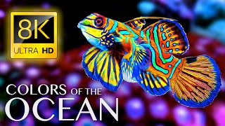 Okyanusun Renkleri 8K ULTRA HD - Rahatlama ve Sakinleştirici Müzik için En İyi 8