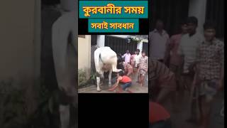 কুরবানির সময় সবাই সাবধান।#কুরবানি