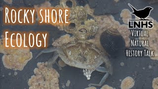 Rocky Shore Ecology