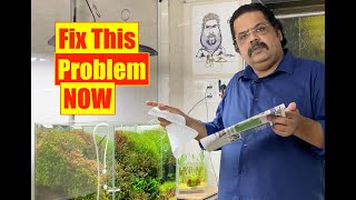 Aquarium Bio Film | How to Clean, Remove Bio Film on Aquarium Surface | Mayur Dev Aquascaper  4K