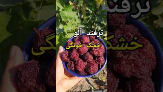 یه روش عالی و ساده برا خشک کردن آلو به سبک بازاری