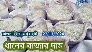 23/11/2024, আমদানি নতুন ধান আজকে ধানের বাজার দর | রাজশাহী বানেশ্বর হাট। Rice market