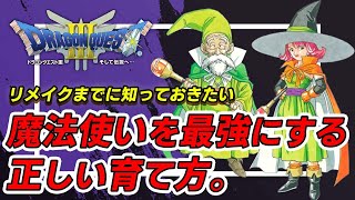 【ドラクエ3】知らないとヤバすぎる。魔法使いの正しい育成方法とは！