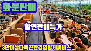 화분판매 할인판매특가 010 4499 2456 5만이상무료배송 3만이상다육친환경영양제써비스 주문은 문자로주세요