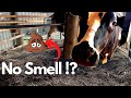 How to Make Deep Bedding System Work With Just ONE Cow - Permaculture Barn