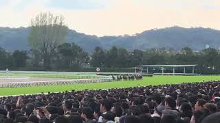 2018年10月14日 アーモンドアイ 秋華賞 現地観戦