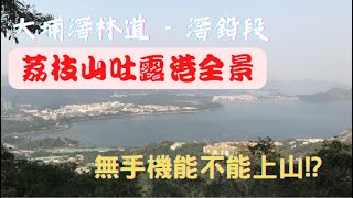 【荔枝山吐露港全景 】大埔滘林道-滘鉛段 ！【行山好去處】