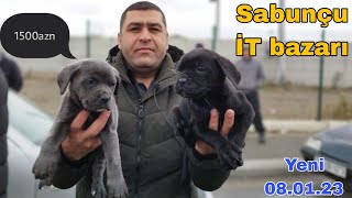 SABUNÇU - İT Bazarı 08.01.2023