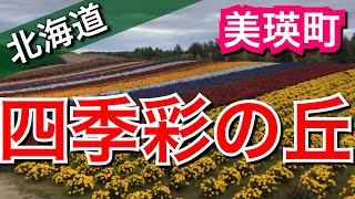 四季彩の丘/北海道美瑛町【ウォーキング】超広大パッチワークの花壇が絶景【北海道旅行16日目その8】