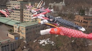 渓流にこいのぼり４００匹 札幌・定山渓温泉