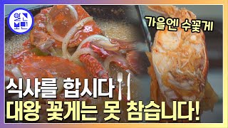 오늘의 저녁 메뉴 추천, 금어기 풀린 제철 꽃게가 돌아왔다!