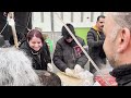 festival gastronomique nomade iranien unique à téhéran