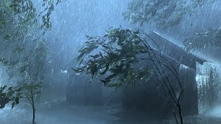 Goodbye Stress & Beat Insomnia with Heavy Rain & Thunder Sounds, Strong Wind on Metal Roof at Night