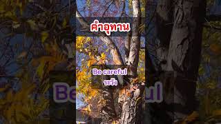 คำอุทานในภาษาอังกฤษที่นิยมใช้ Eng-Thai