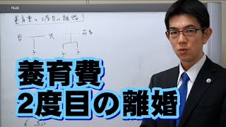 養育費と二度目の離婚／厚木弁護士ｃｈ・神奈川県