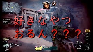 【BO3】スナイパーで勝ちに行くTDM実況#17～誰も選ばないMAP～