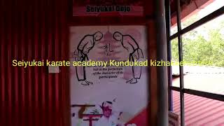 Seiyukai india New International style  karate dojo.