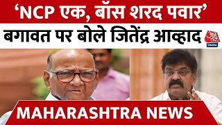 Maharashtra Political Crisis: ‘NCP एक, बॉस शरद पवार’, Ajit Pawar के बगावत पर बोले Jitendra Awhad