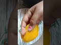 আম পোড়ার সরবত 🤤গরমের জনপ্রিয় রেসিপি mango mangorecipe tasty tastyfood shorts