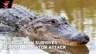 Florida Man Survives 12-Foot Alligator Attack!