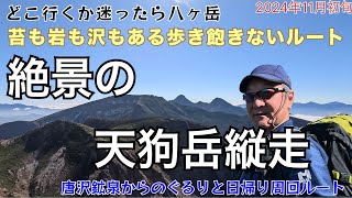 絶景の天狗岳縦走　迷ったら八ヶ岳に行こう　苔、岩、沢の楽しい周回ルート　唐沢鉱泉からと反時計回りの周回ルート　唐沢鉱泉→西天狗岳→東天狗岳→黒百合ヒュッテ→涸沢鉱泉