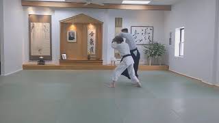 Aikido - kosadori sankyo