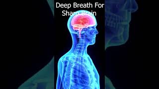 100 गुना तेजी से काम करेगा दिमाग, हर अंग स्वस्थ रहेग Deep breathing benefits #shorts Madhu Choudhary