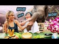 AUTHENTIC THAI FOOD MUKBANG with ELEPHANTS 🐘♡ (Soy)
