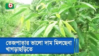 তেজপাতার ভালো দাম মিলছেনা খাগড়াছড়িতে