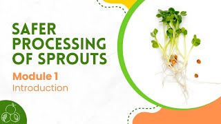 Sprouts: Module 1 Introduction to Food Safety