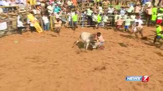 Palamedu Jallikattu | 09-02-2017 | News7 Tamil