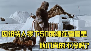 在零下50度的北极，因纽特人全家睡在雪屋里，他们真的不冷吗？