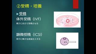1 体外授精とは