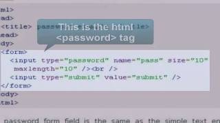 HTML Tutorial : password field
