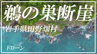 鵜の巣断崖 空撮