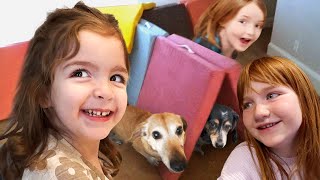 DOGS FiRST ViSiT to the HOUSE!! Olive & Koopa backyard tour Adley & Niko play Rainbow Ghosts on UEFN