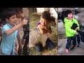 Brave Kids Save Animals From Slaughter